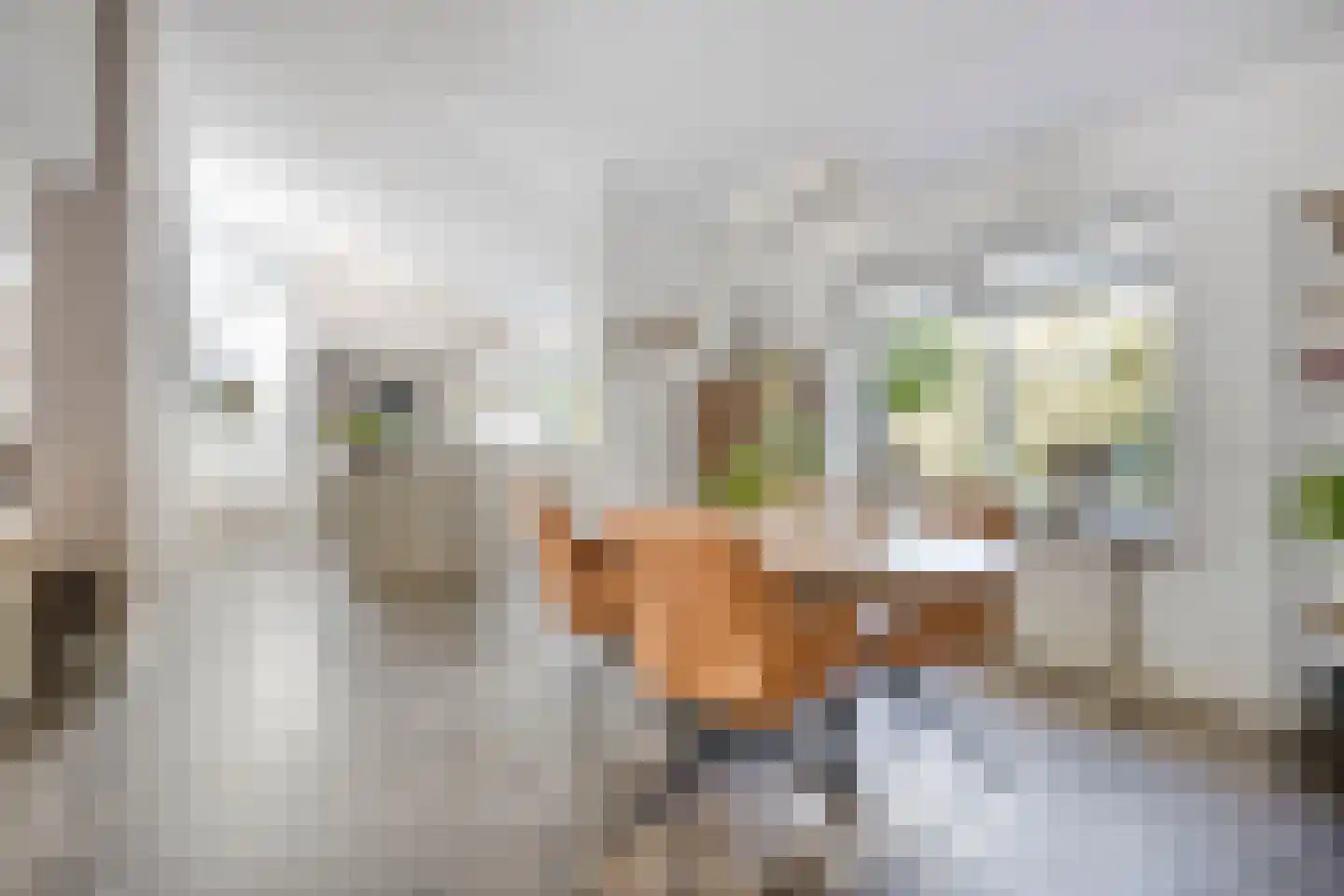 Veenhof 2233 Wijchen thumbnail 11