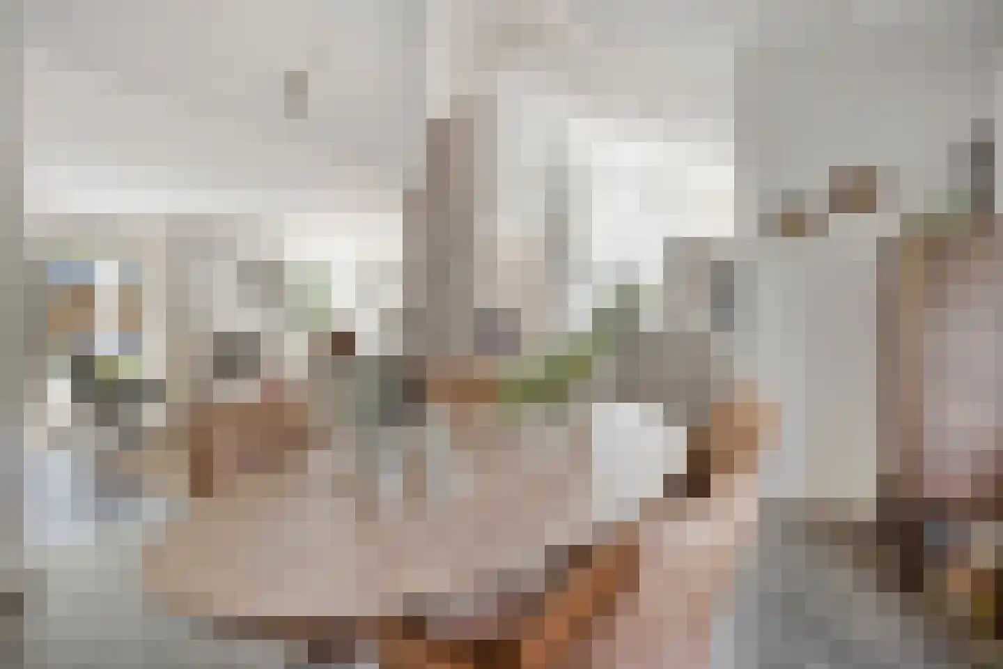 Veenhof 2233 Wijchen thumbnail 12