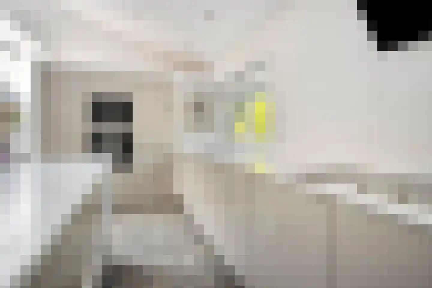 Veenhof 2233 Wijchen thumbnail 14
