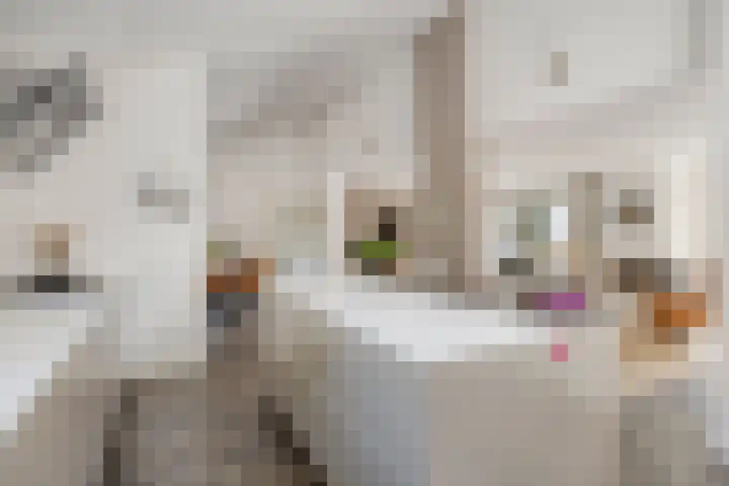 Veenhof 2233 Wijchen thumbnail 16