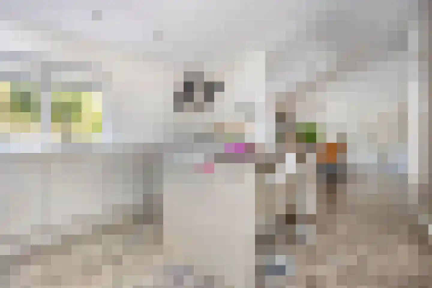 Veenhof 2233 Wijchen thumbnail 17
