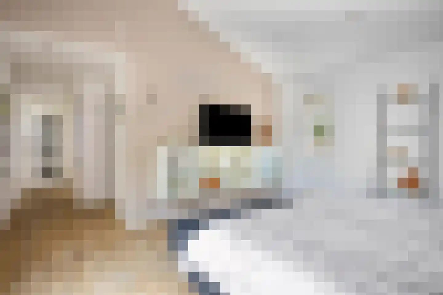 Veenhof 2233 Wijchen thumbnail 23