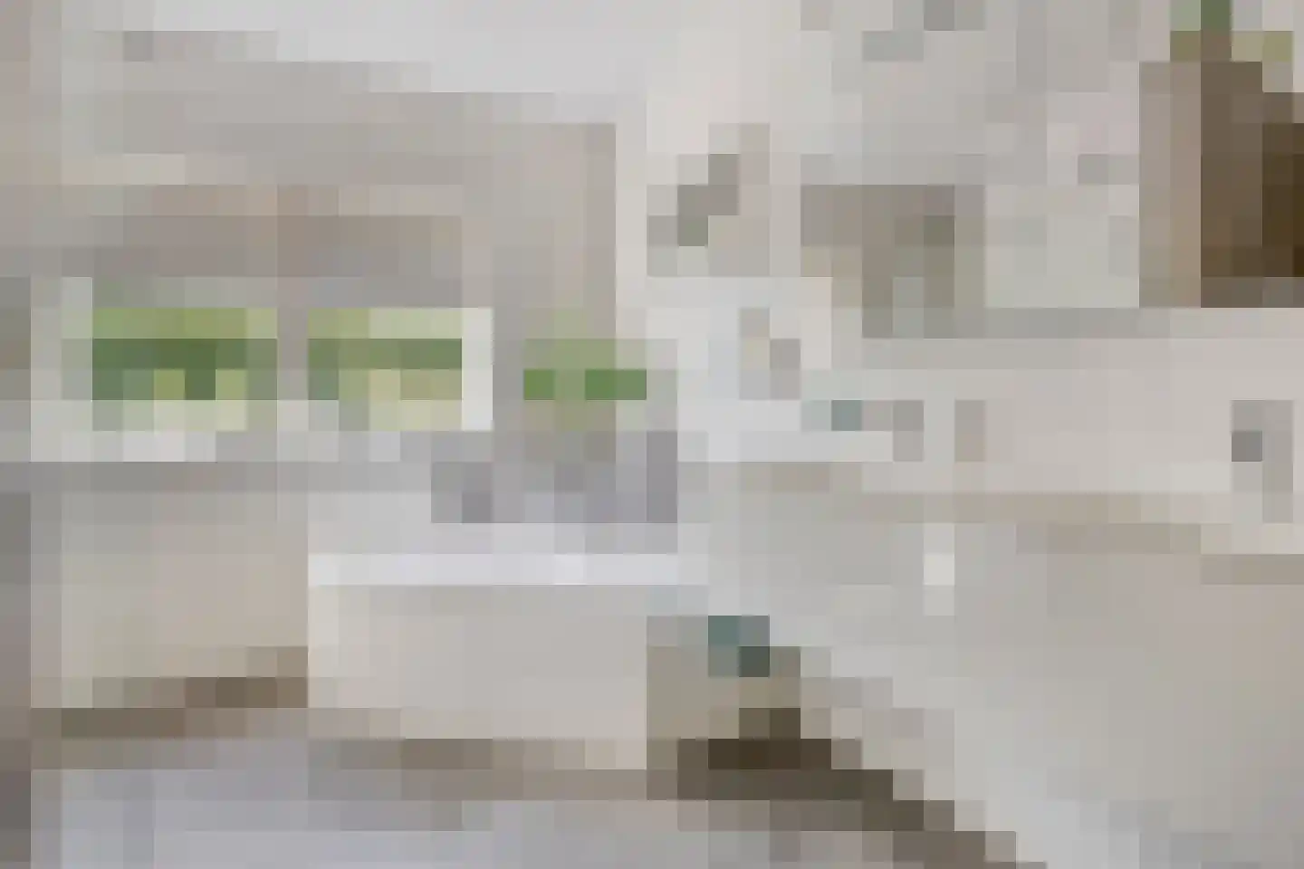 Veenhof 2233 Wijchen thumbnail 25