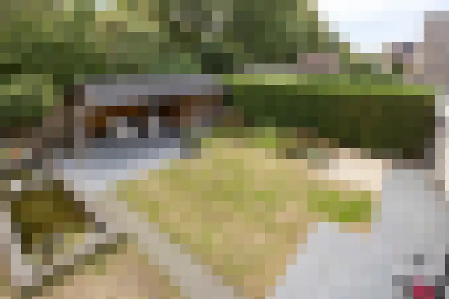 Veenhof 2233 Wijchen thumbnail 42