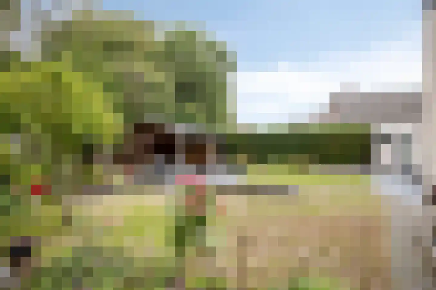 Veenhof 2233 Wijchen thumbnail 43