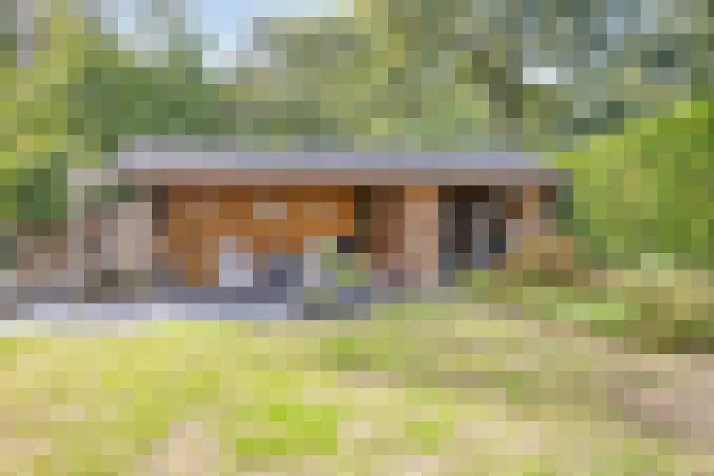 Veenhof 2233 Wijchen thumbnail 46