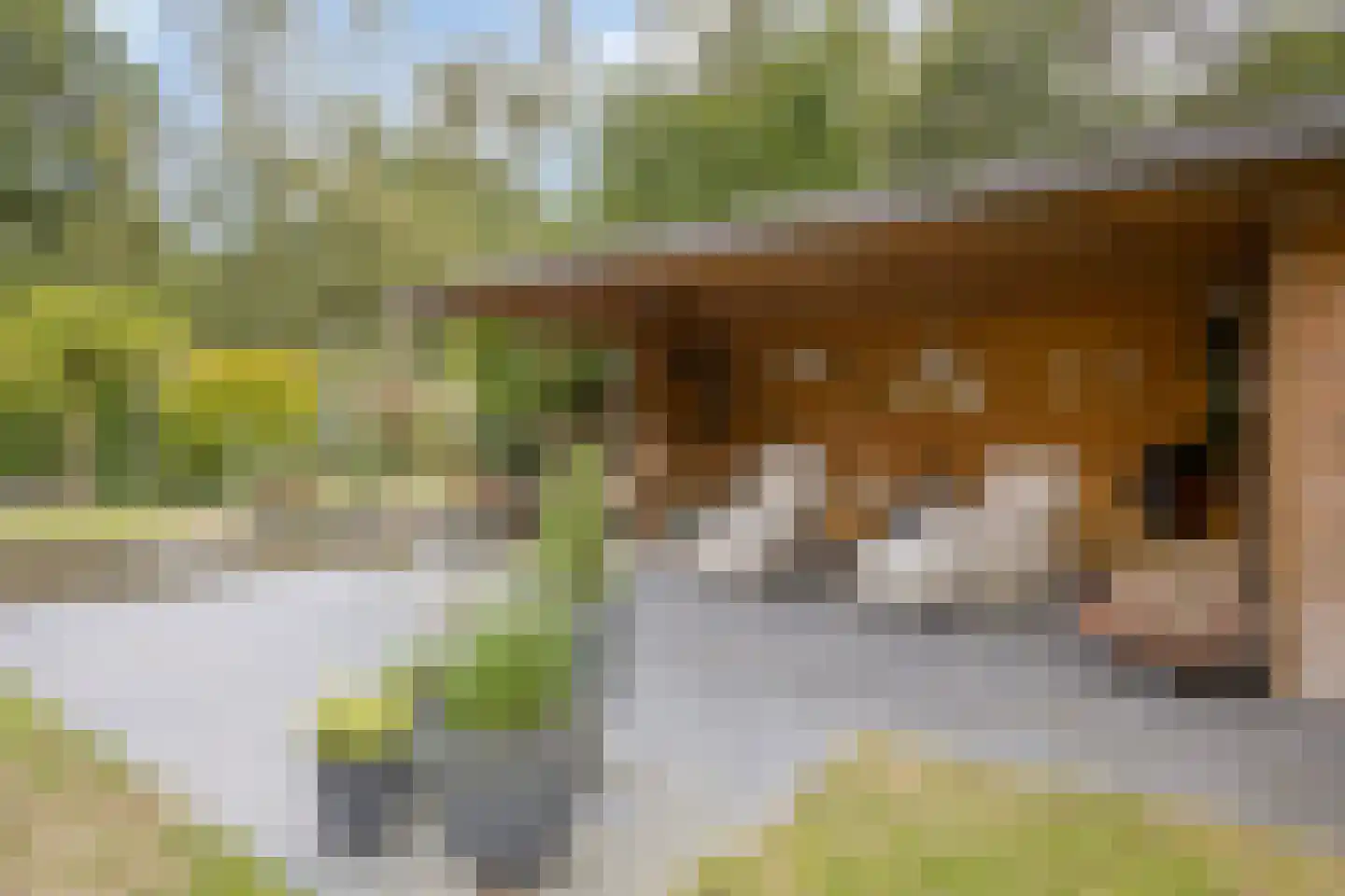 Veenhof 2233 Wijchen thumbnail 47