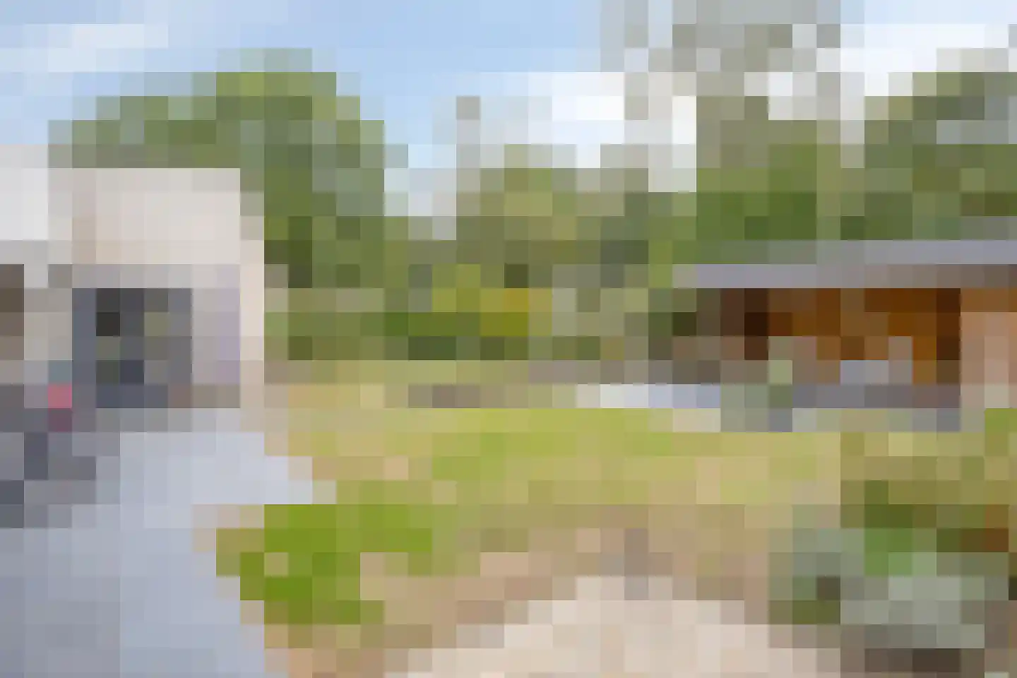 Veenhof 2233 Wijchen thumbnail 48
