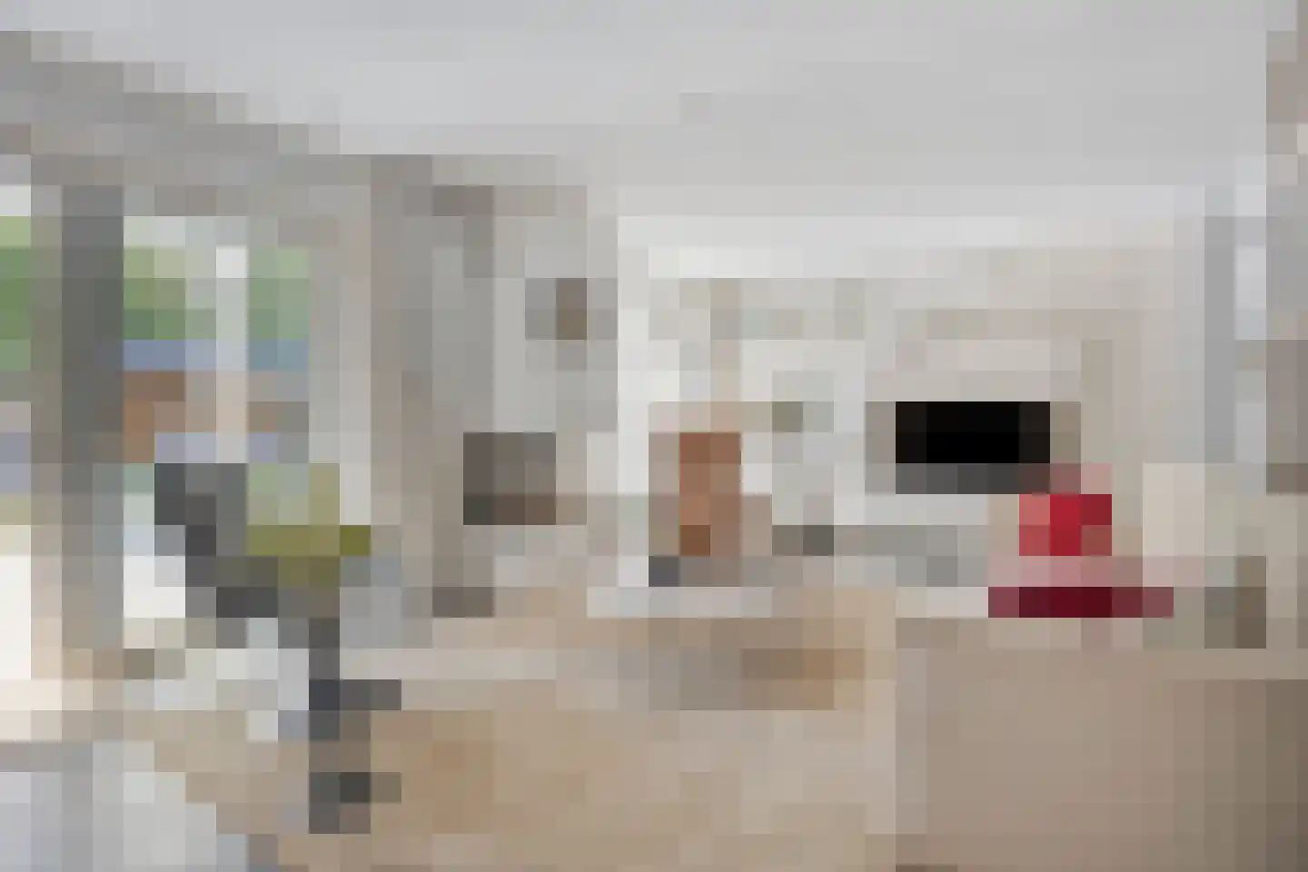 Veenhof 2233 Wijchen thumbnail 5