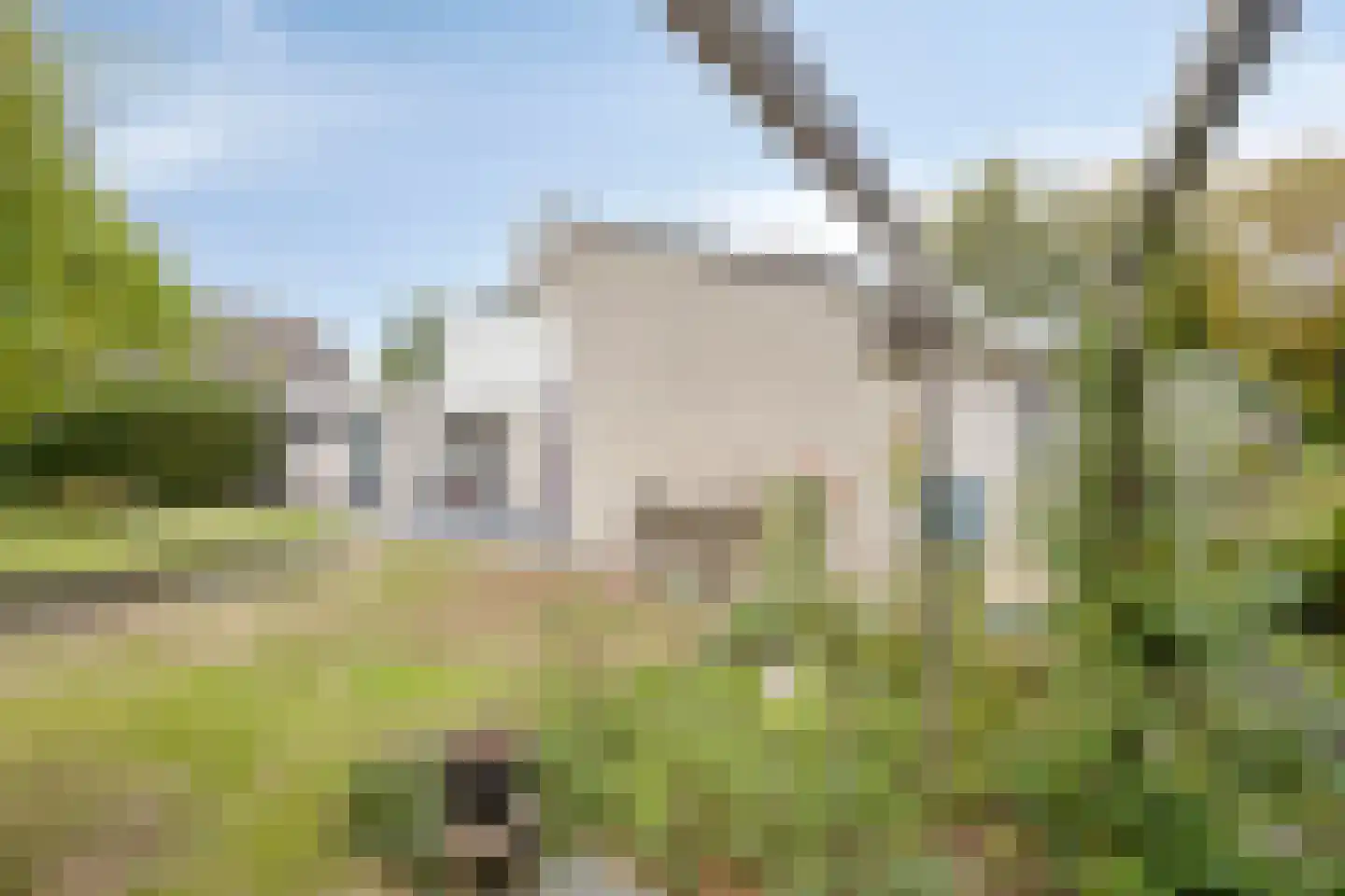 Veenhof 2233 Wijchen thumbnail 52