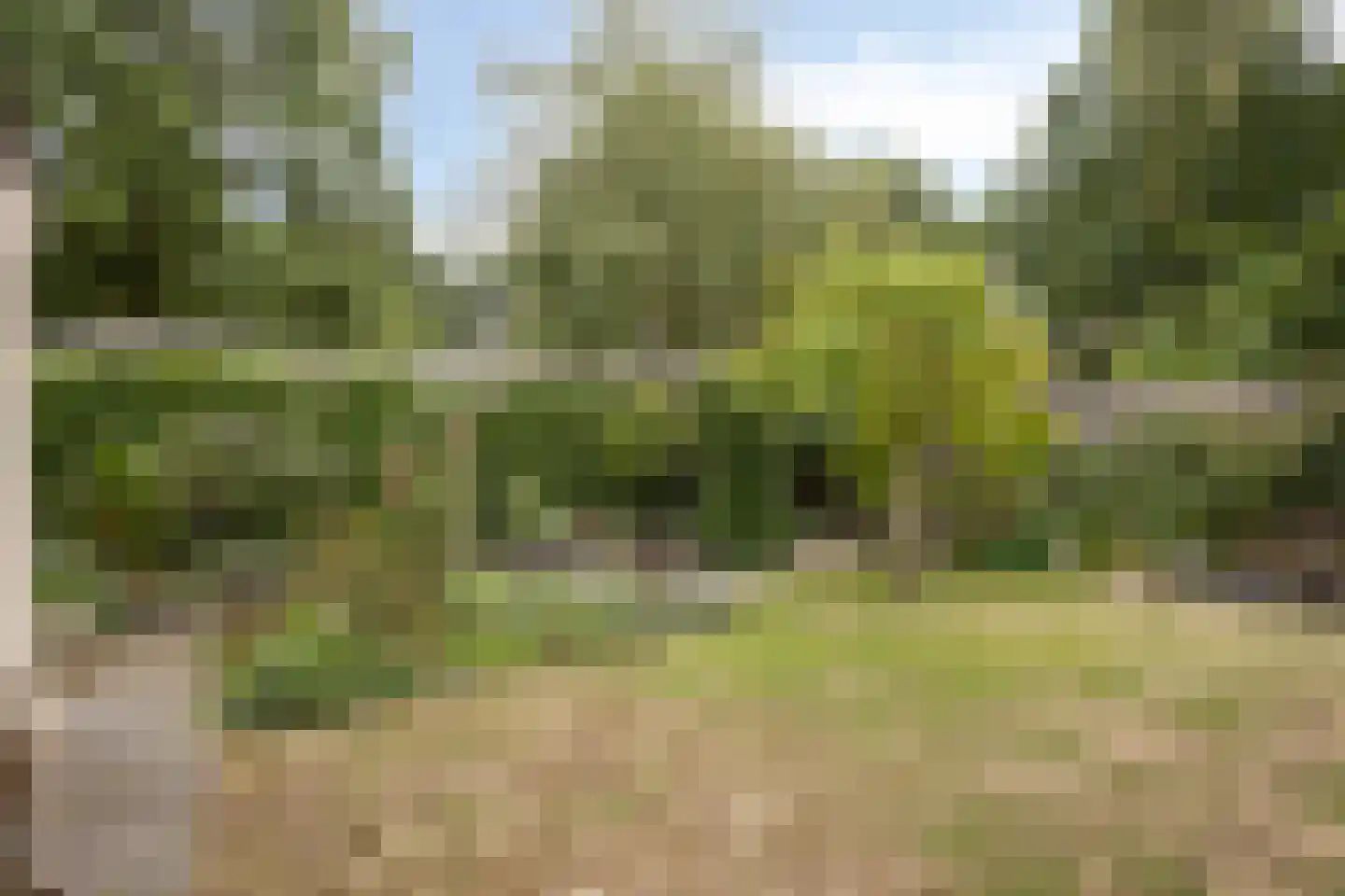 Veenhof 2233 Wijchen thumbnail 53