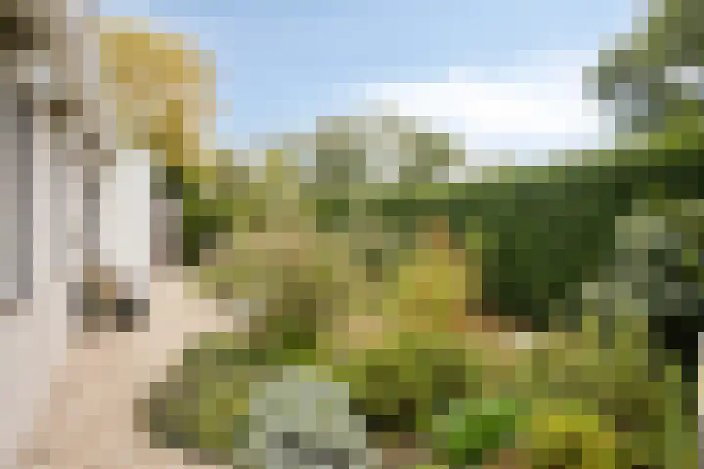 Veenhof 2233 Wijchen thumbnail 54