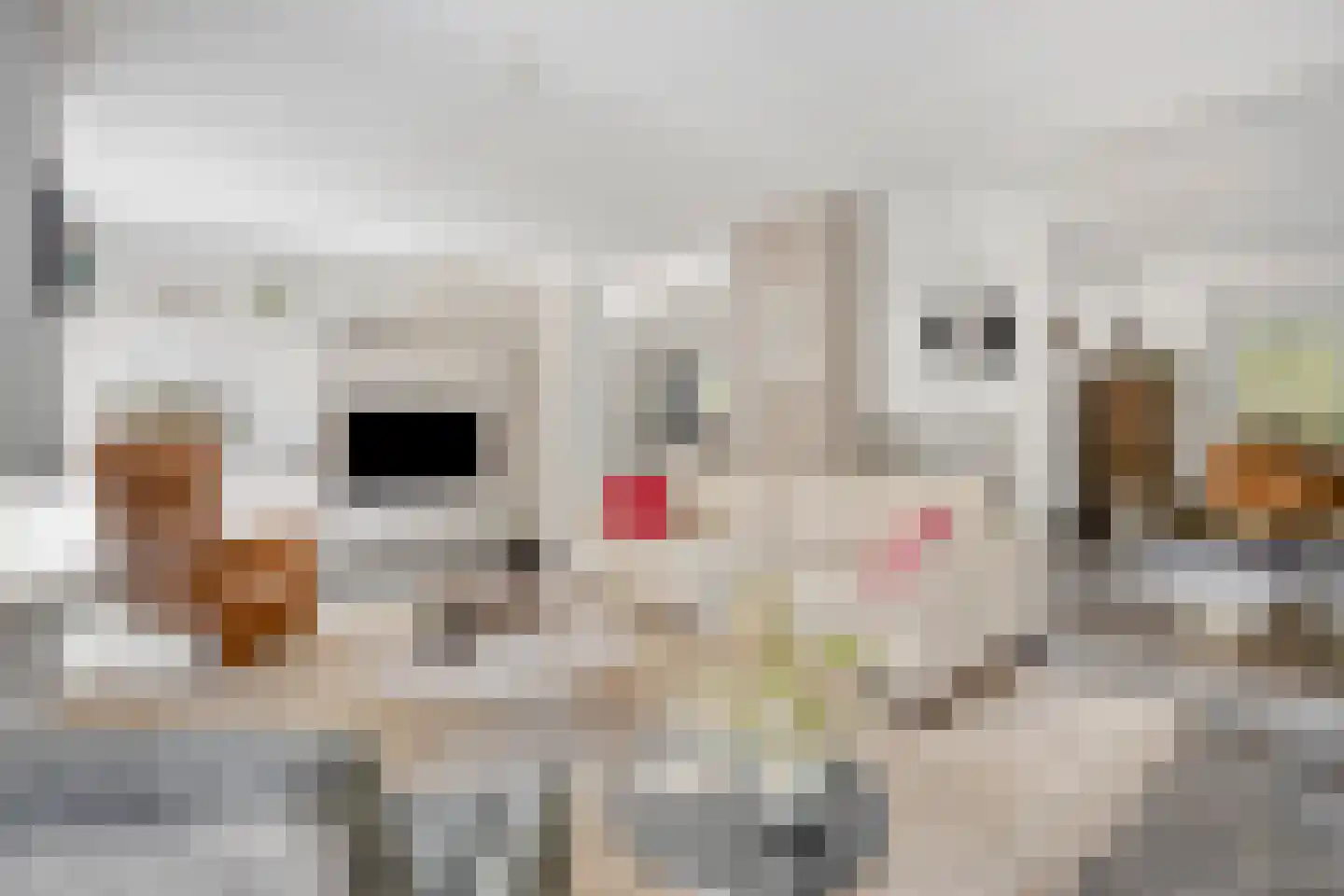 Veenhof 2233 Wijchen thumbnail 8