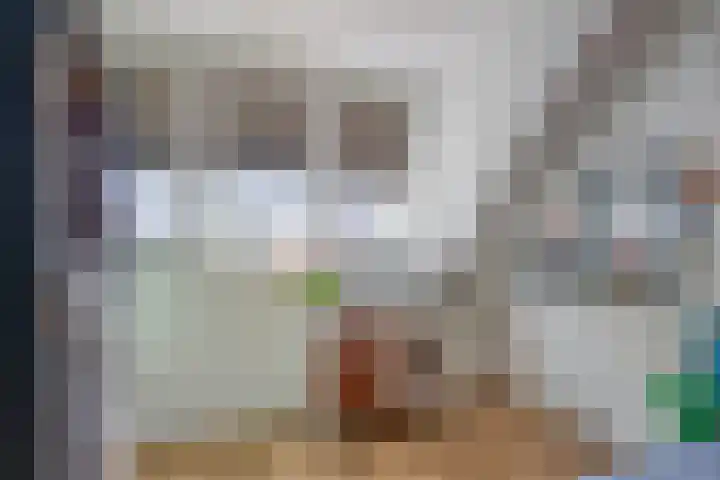 Veenhof 2320 Wijchen thumbnail 19