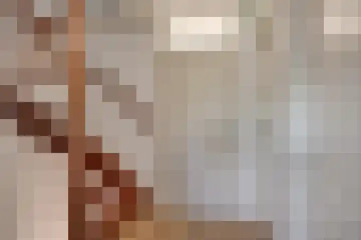Veenhof 2320 Wijchen thumbnail 23