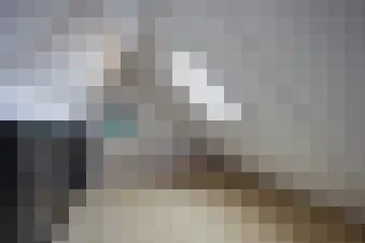 Veenhof 2320 Wijchen thumbnail 24