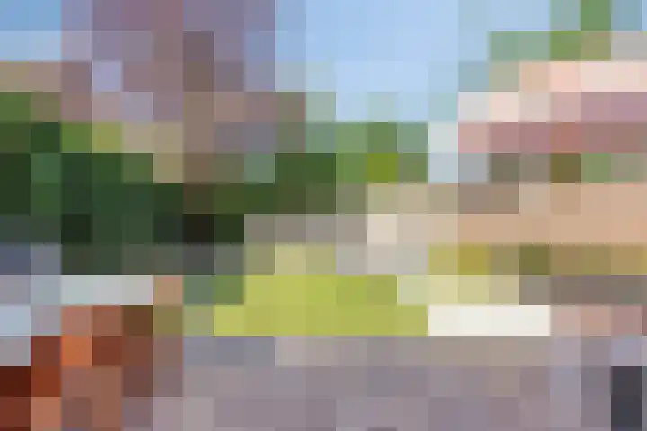 Veenhof 2320 Wijchen thumbnail 26