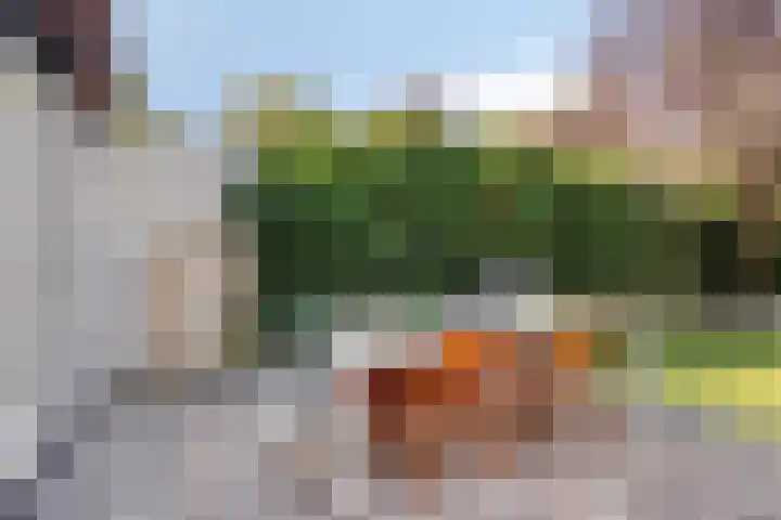 Veenhof 2320 Wijchen thumbnail 27