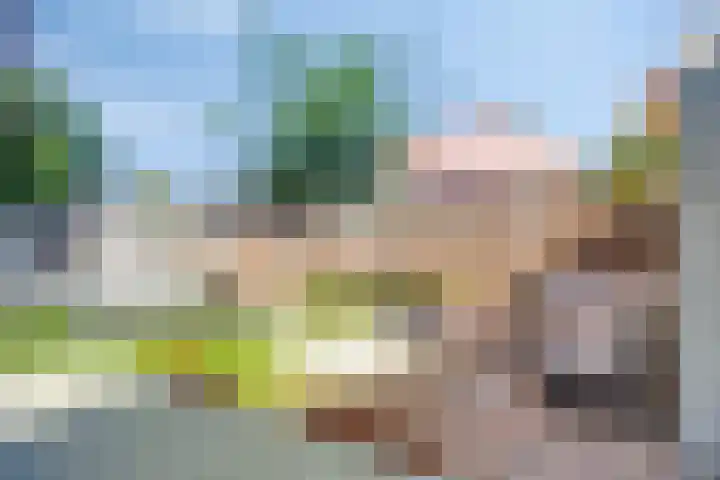 Veenhof 2320 Wijchen thumbnail 29