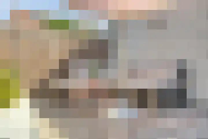 Veenhof 2320 Wijchen thumbnail 30