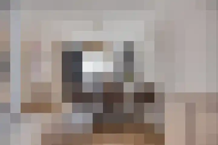 Veenhof 2320 Wijchen thumbnail 6