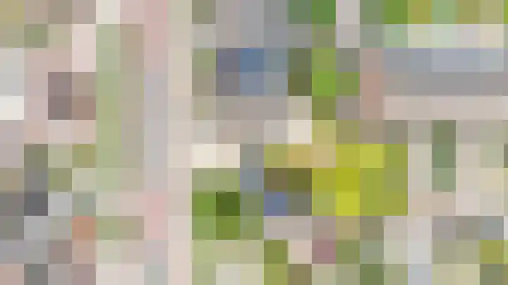 Veenhof 2507 Wijchen thumbnail 32