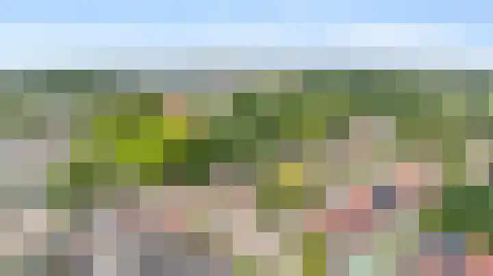 Veenhof 2507 Wijchen thumbnail 33