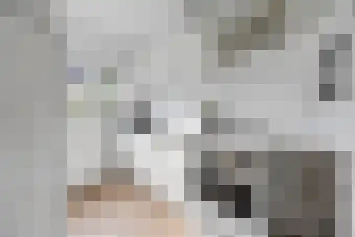 Veenhof 2507 Wijchen thumbnail 9