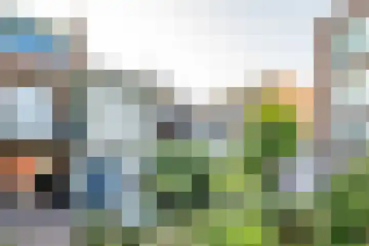 Veenhof 4 Utrecht thumbnail 25
