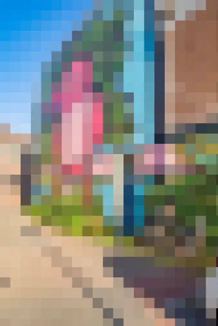 Veenhof 4 Utrecht thumbnail 26