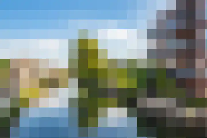 Veenhof 4 Utrecht thumbnail 28