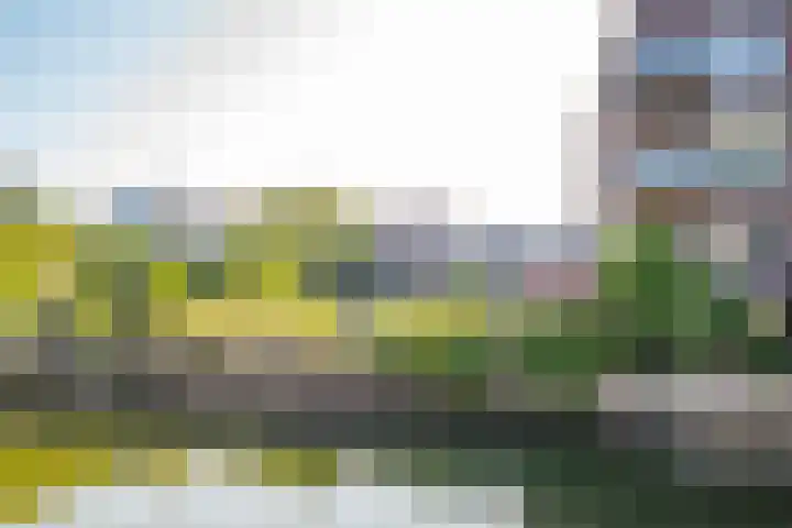 Veenhof 4 Utrecht thumbnail 29