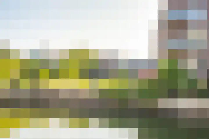 Veenhof 4 Utrecht thumbnail 30