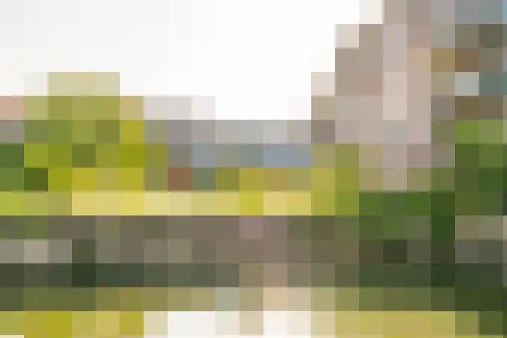 Veenhof 4 Utrecht thumbnail 31