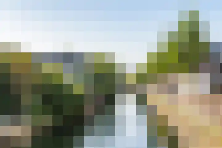 Veenhof 4 Utrecht thumbnail 33