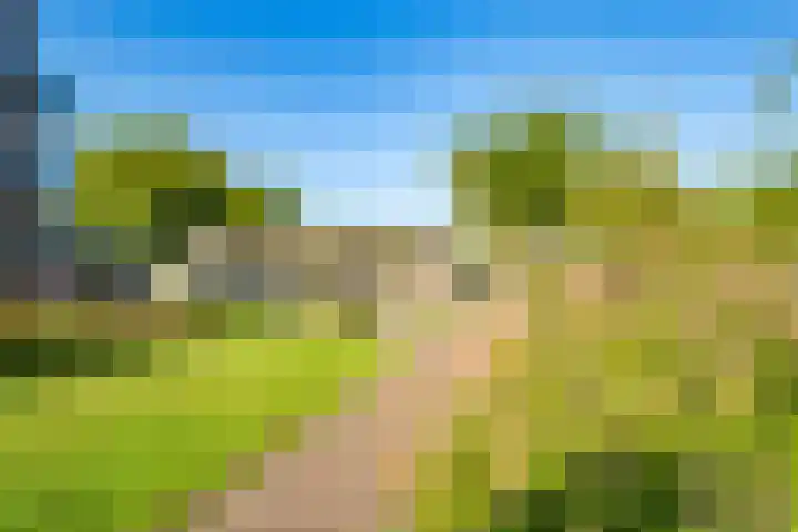 Veenhof 4 Utrecht thumbnail 34