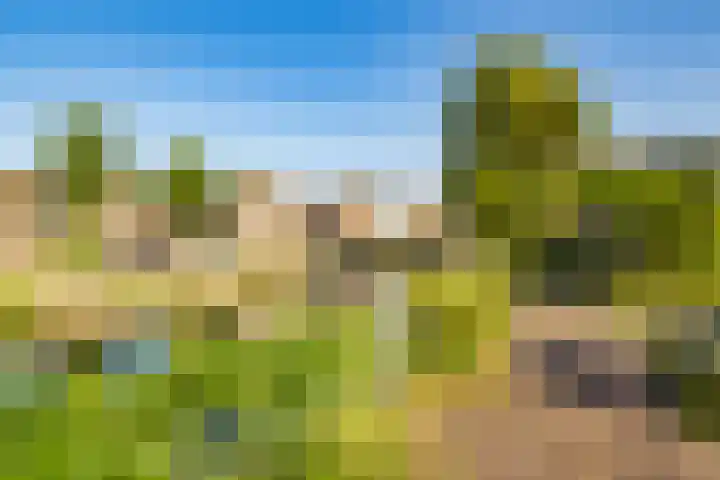Veenhof 4 Utrecht thumbnail 35