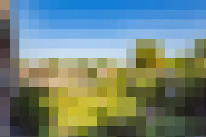 Veenhof 4 Utrecht thumbnail 36