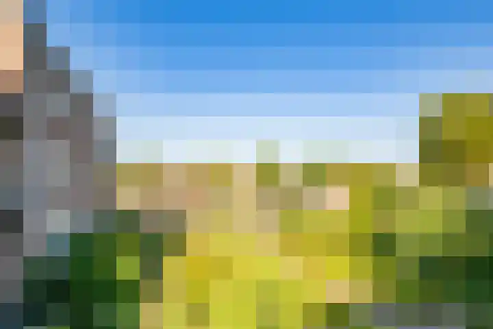 Veenhof 4 Utrecht thumbnail 37