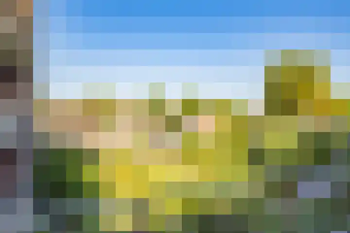 Veenhof 4 Utrecht thumbnail 39
