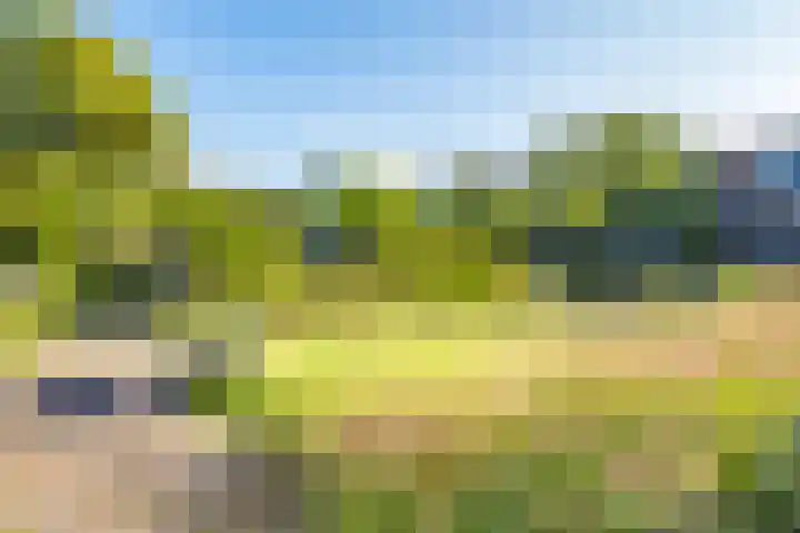 Veenhof 4 Utrecht thumbnail 4