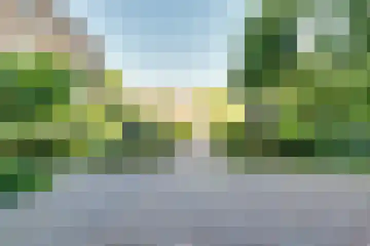 Veenhof 4 Utrecht thumbnail 40