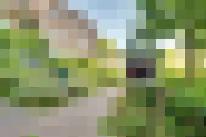Veenhof 4 Utrecht thumbnail 41