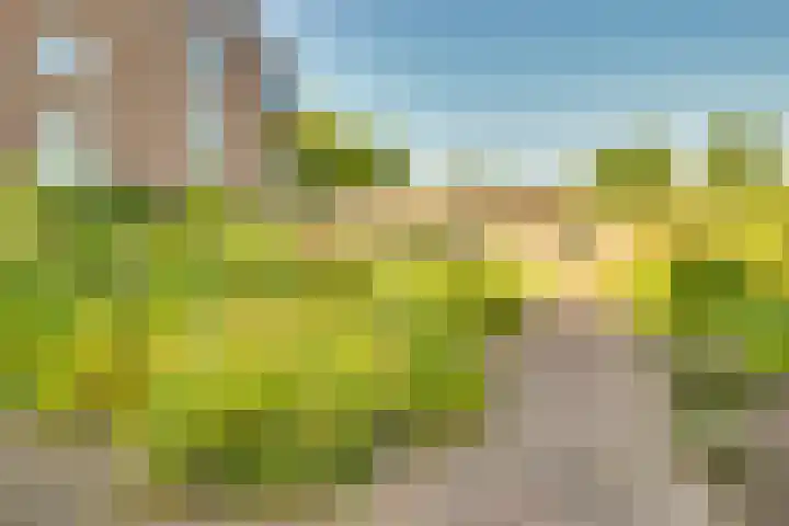 Veenhof 4 Utrecht thumbnail 43