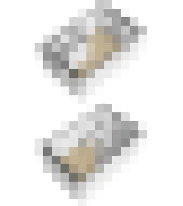 Veenhof 4 Utrecht thumbnail 47