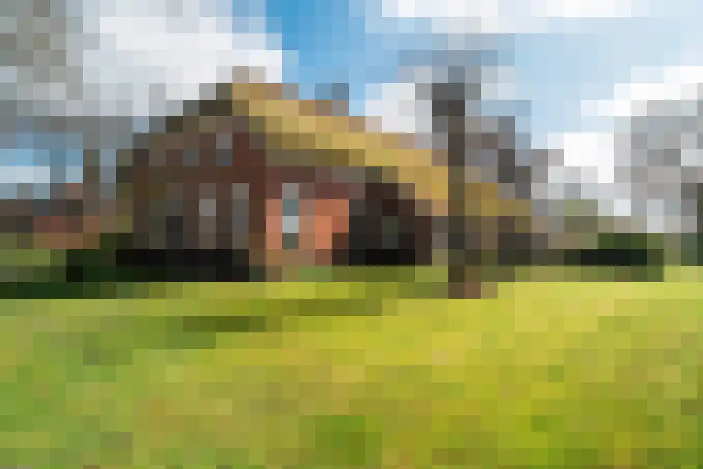 Veenhof 6 Gieten thumbnail 10
