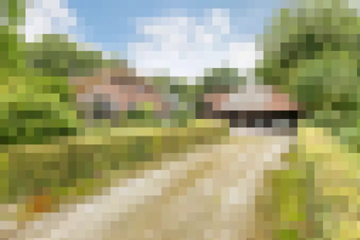 Veenhof 6 Gieten thumbnail 10