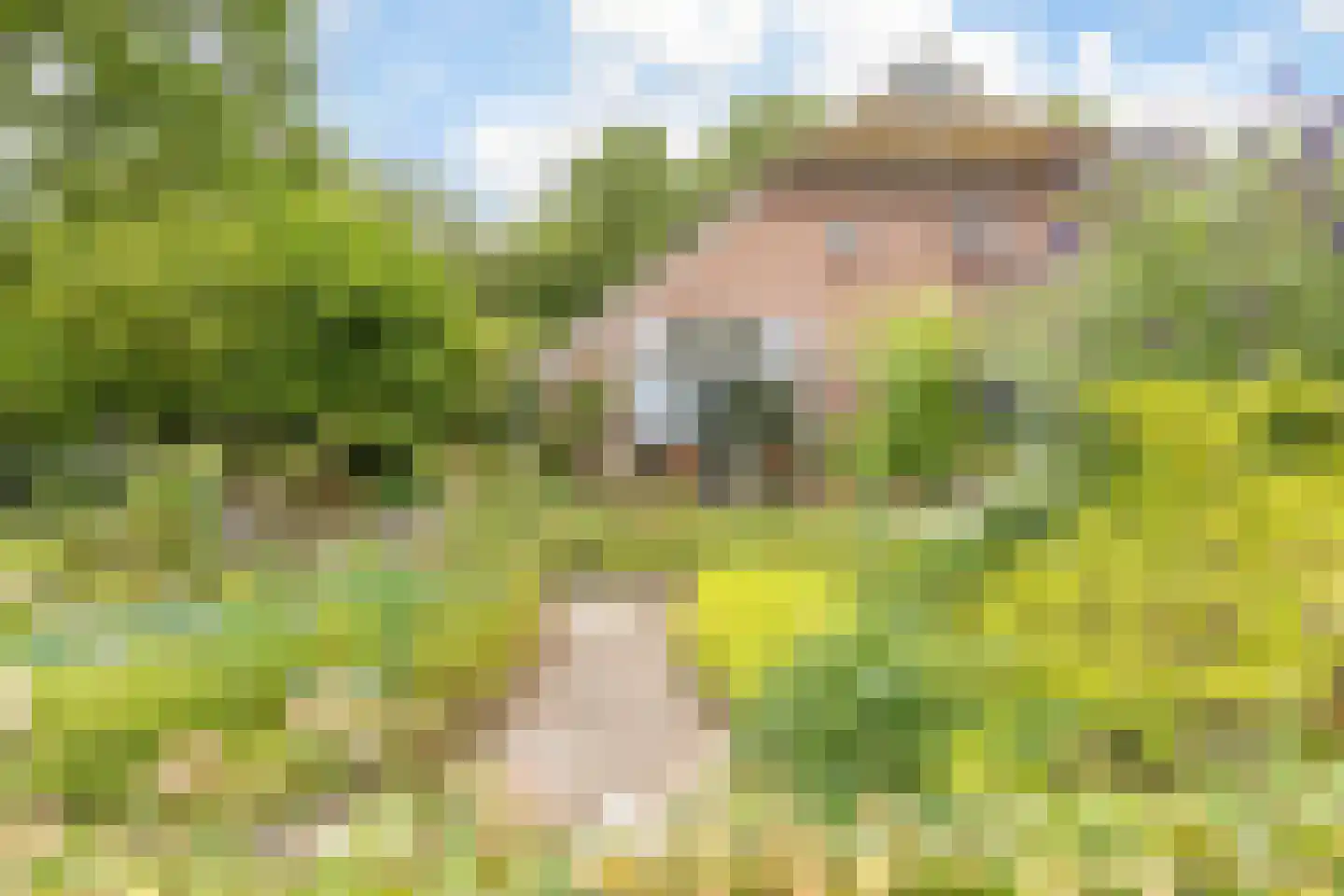 Veenhof 6 Gieten thumbnail 11