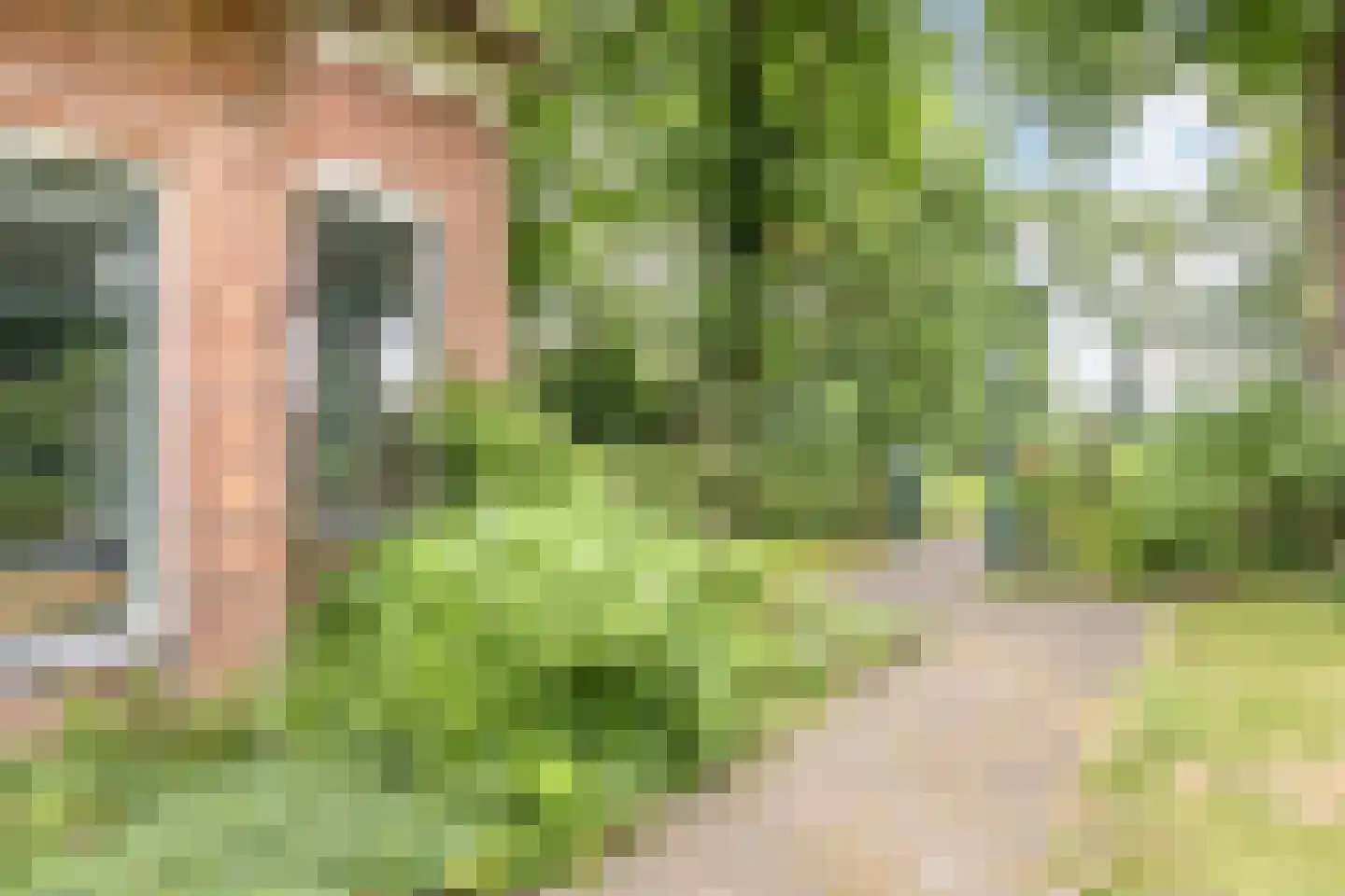 Veenhof 6 Gieten thumbnail 12