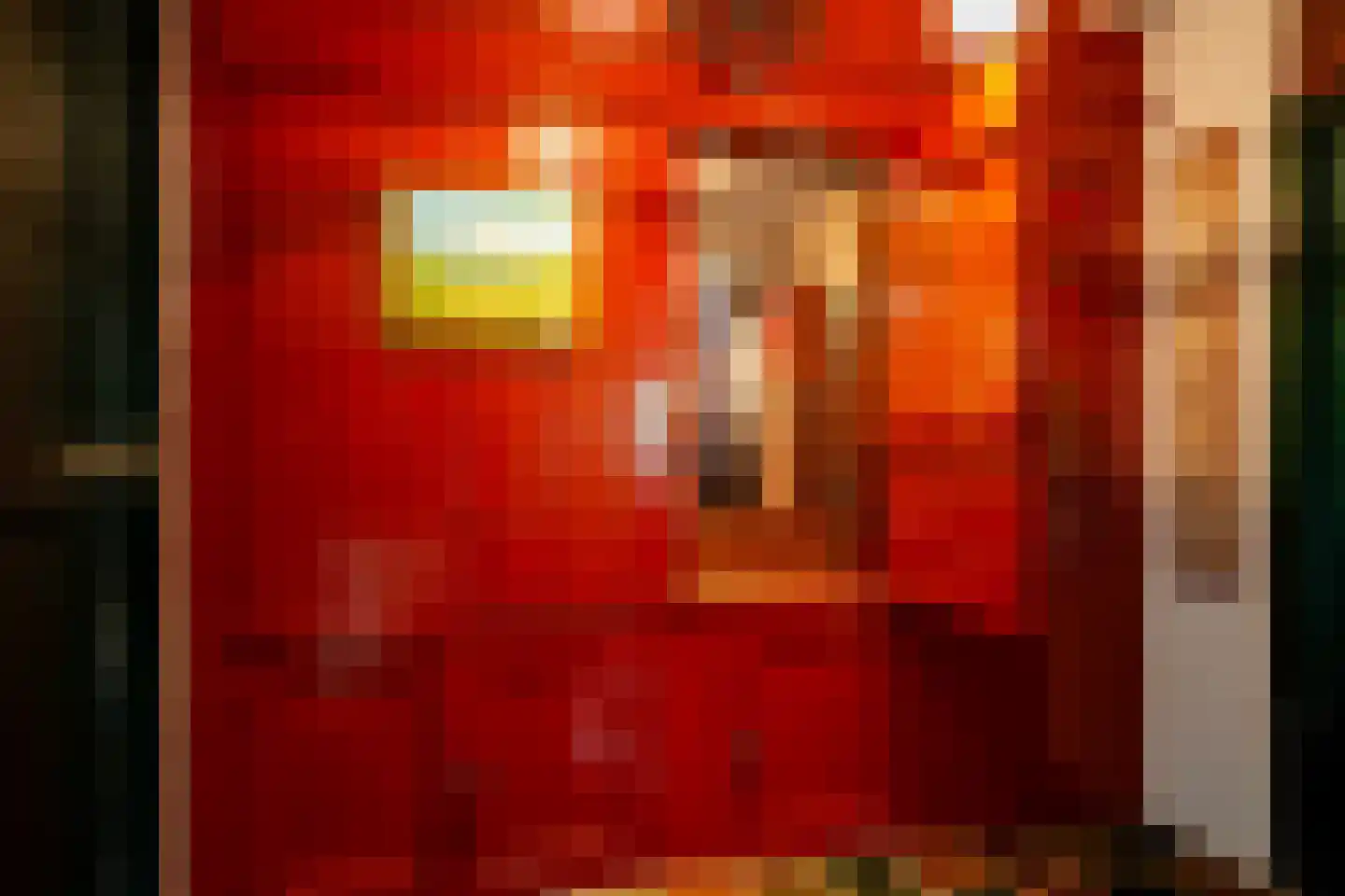 Veenhof 6 Gieten thumbnail 16